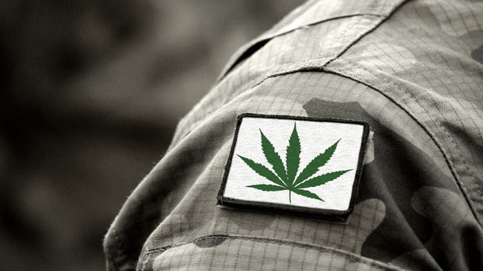 Three New Studies on Cannabis and PTSD
