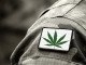 Three New Studies on Cannabis and PTSD